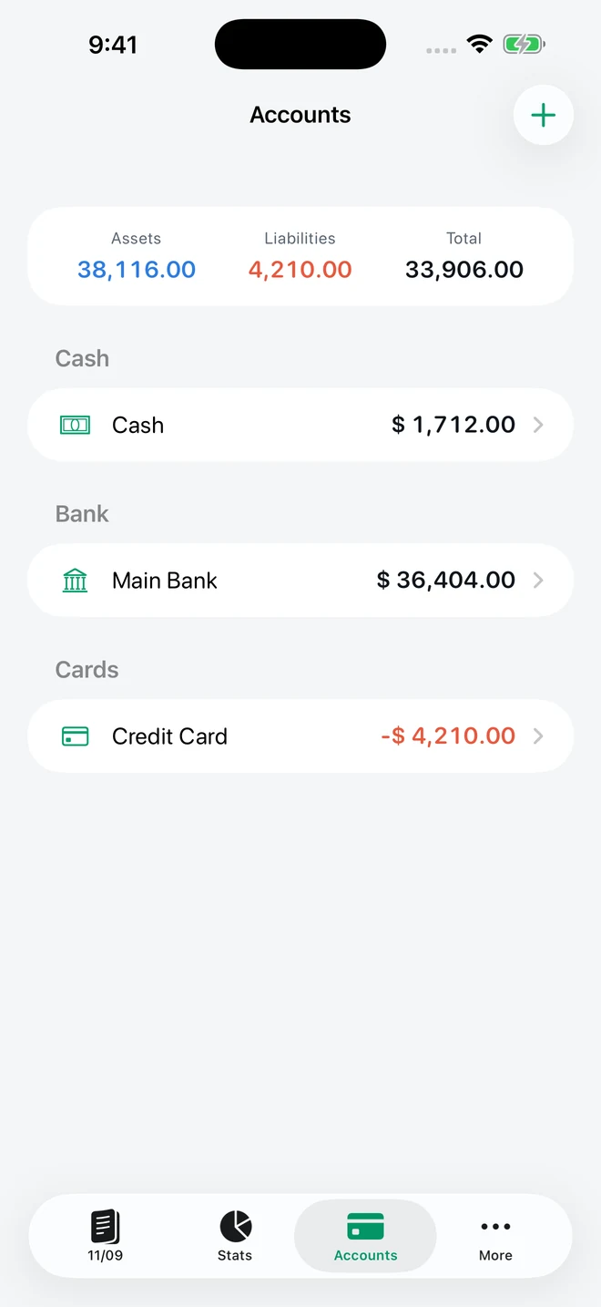 Cash, bank and credit card accounts with assets, liabilities and total balance